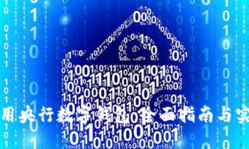 如何使用央行数字钱包：全面指南与实用技巧