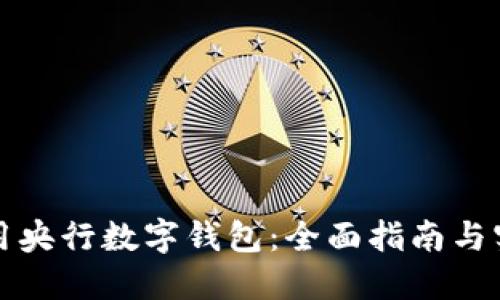 如何使用央行数字钱包：全面指南与实用技巧