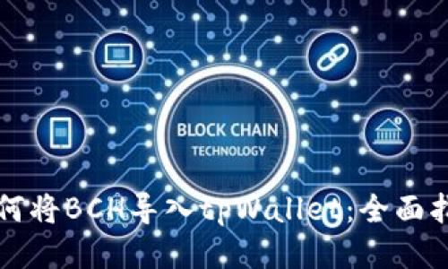 如何将BCH导入tpWallet：全面指南