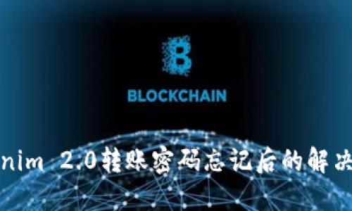 Tokenim 2.0转账密码忘记后的解决方案