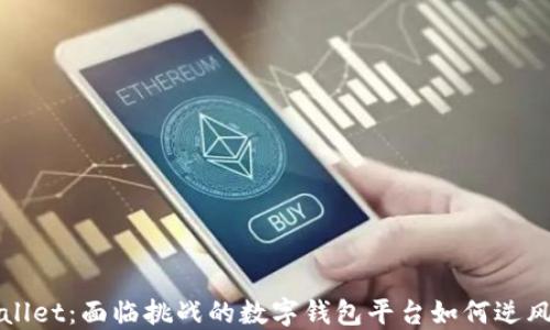 
TPWallet：面临挑战的数字钱包平台如何逆风翻盘