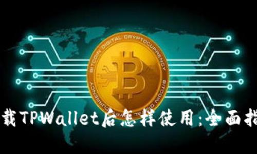 下载TPWallet后怎样使用：全面指南