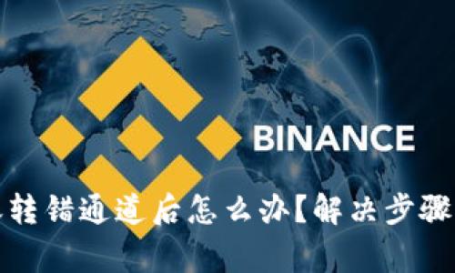 TP钱包转账转错通道后怎么办？解决步骤与注意事项