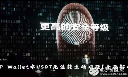 : 如何解决TP Wallet中USDT无法转出的难题？全面解析与实用指南