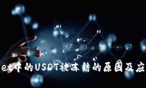 tpWallet中的USDT被冻结的原因及应对措施