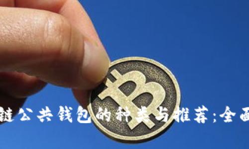 区块链公共钱包的种类与推荐：全面解析