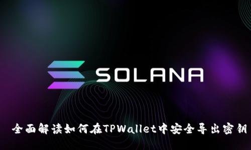  全面解读如何在TPWallet中安全导出密钥