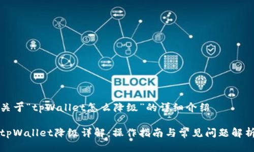关于“tpWallet怎么降级”的详细介绍

tpWallet降级详解：操作指南与常见问题解析
