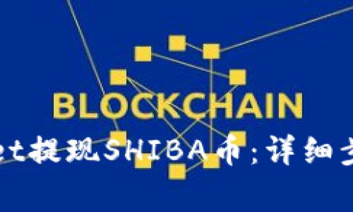 如何从TPWallet提现SHIBA币：详细步骤与注意事项