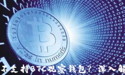 
tpWallet为何不支持BTC观察钱包? 深入解析与解决方案