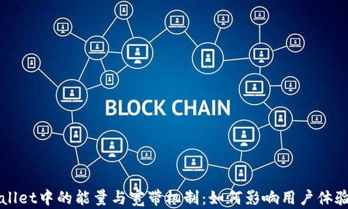 
深入解析TPWallet中的能量与宽带机制：如何影响用户体验与区块链交互