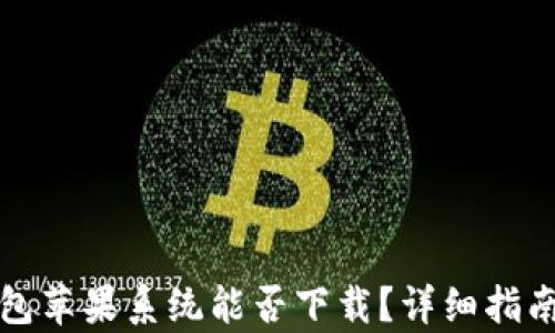 
TP钱包苹果系统能否下载？详细指南解析