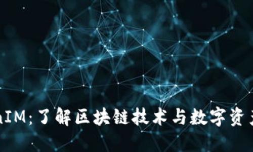 火币网TokenIM：了解区块链技术与数字资产管理的未来