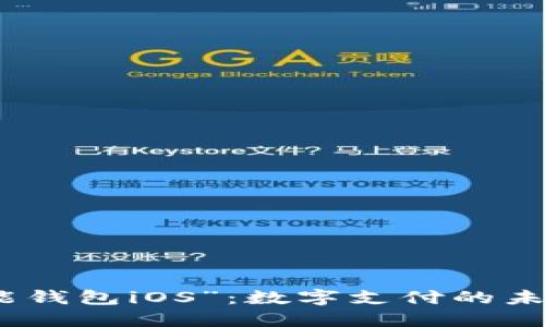 探索“钱能钱包iOS”：数字支付的未来与挑战