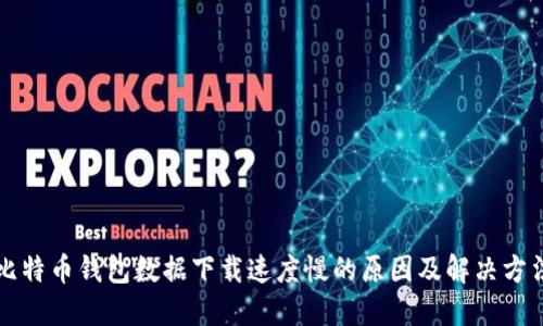 比特币钱包数据下载速度慢的原因及解决方法