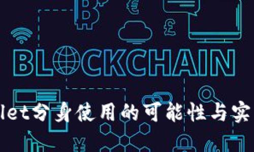 TPWallet分身使用的可能性与实用指南