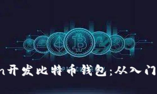 Python开发比特币钱包：从入门到实践