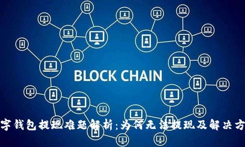 数字钱包提现难题解析：为何无法提现及解决方案