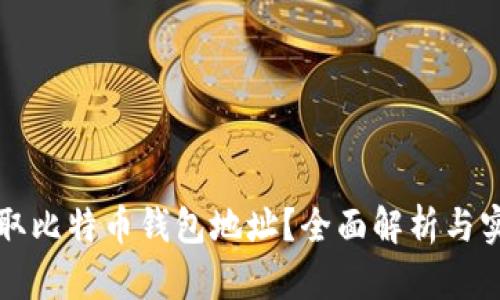 如何获取比特币钱包地址？全面解析与实用指南