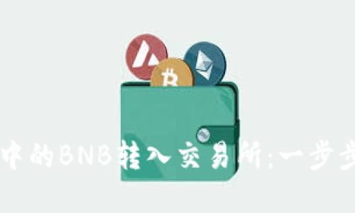 如何将TPWallet中的BNB转入交易所：一步步详解与实用技巧