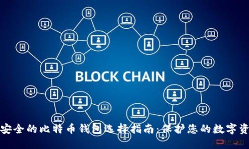 最安全的比特币钱包选择指南：保护您的数字资产