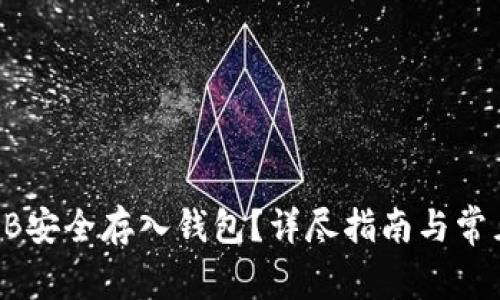 如何将SHIB安全存入钱包？详尽指南与常见问题解答