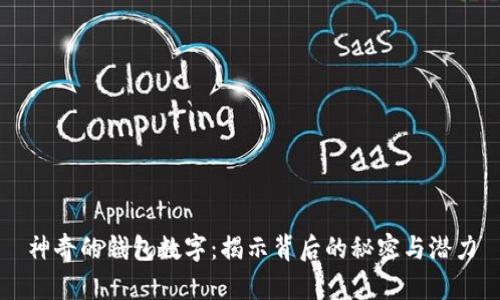 神奇的钱包数字：揭示背后的秘密与潜力