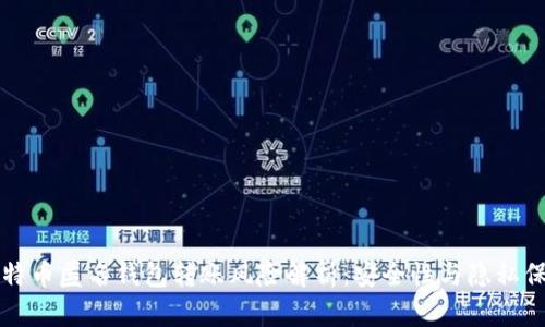 比特币匿名钱包转账风险解析：安全性与隐私保护