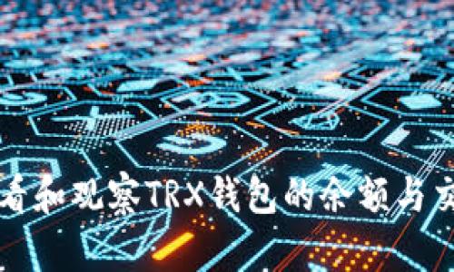 如何查看和观察TRX钱包的余额与交易记录