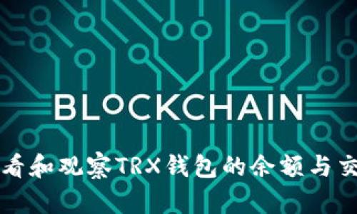 如何查看和观察TRX钱包的余额与交易记录