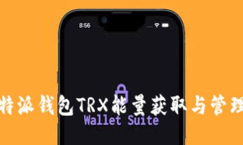 : 比特派钱包TRX能量获取与管理指南