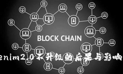 Tokenim2.0不升级的后果与影响分析