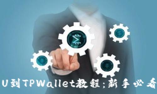   
币安交易所提U到TPWallet教程：新手必看完整流程解析