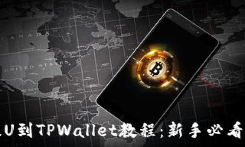   
币安交易所提U到TPWallet教程：新手必看完整流程解析