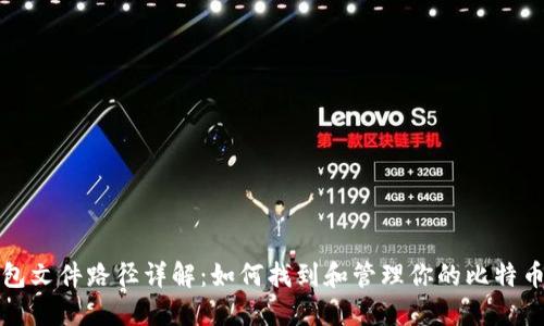 比特币钱包文件路径详解：如何找到和管理你的比特币钱包文件