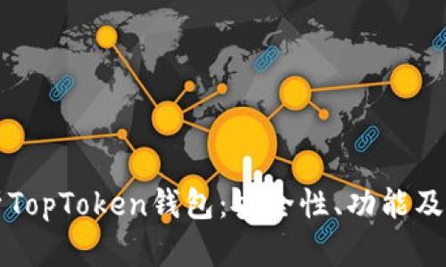 全面解析TopToken钱包：安全性、功能及使用指南