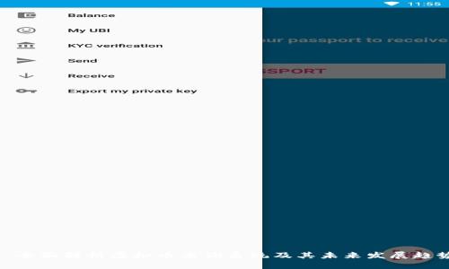 : 全面解析虚拟币查询系统及其未来发展趋势