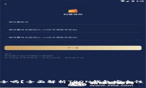 TRX钱包安全吗？全面解析TRON钱包安全性与防护措施