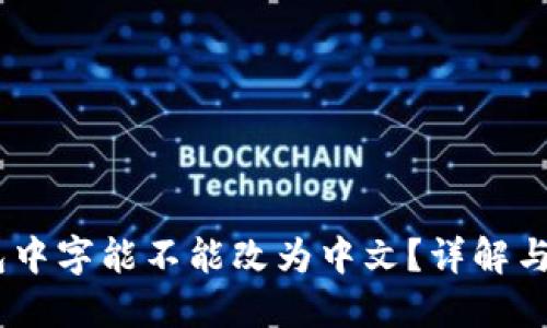 USDT钱包中字能不能改为中文?详解与操作指南