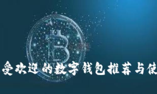 国内最受欢迎的数字钱包推荐与使用指南