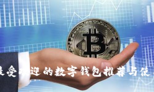 国内最受欢迎的数字钱包推荐与使用指南