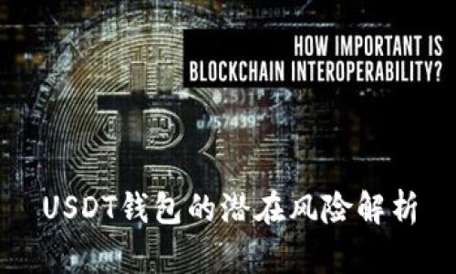 USDT钱包的潜在风险解析