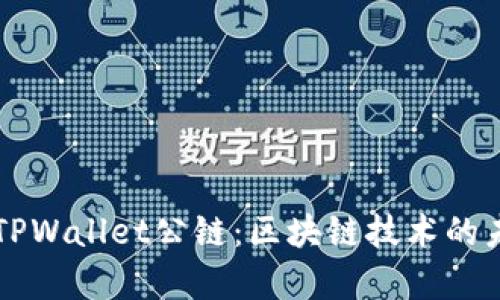 全面解析TPWallet公链：区块链技术的未来与应用