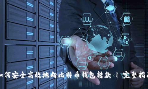 如何安全高效地向比特币钱包转款 | 完整指南