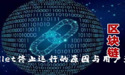 : TPWallet停止运行的原因与用户影响分析