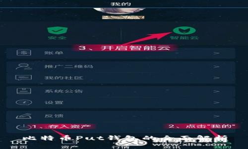 比特币Put钱包的全面解析