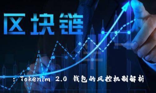 : Tokenim 2.0 钱包的风控机制解析