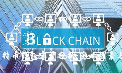 2020年比特币钱包容量分析：影响因素与未来趋势