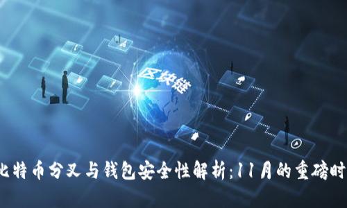  比特币分叉与钱包安全性解析：11月的重磅时刻
