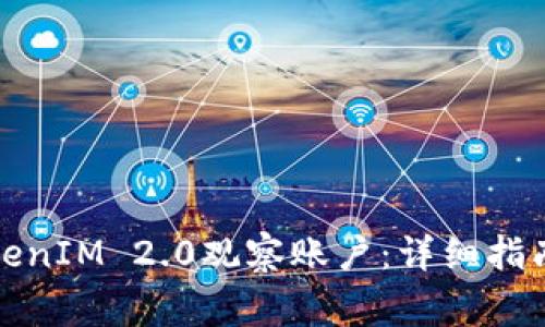 如何成功导入TokenIM 2.0观察账户：详细指南与常见问题解答